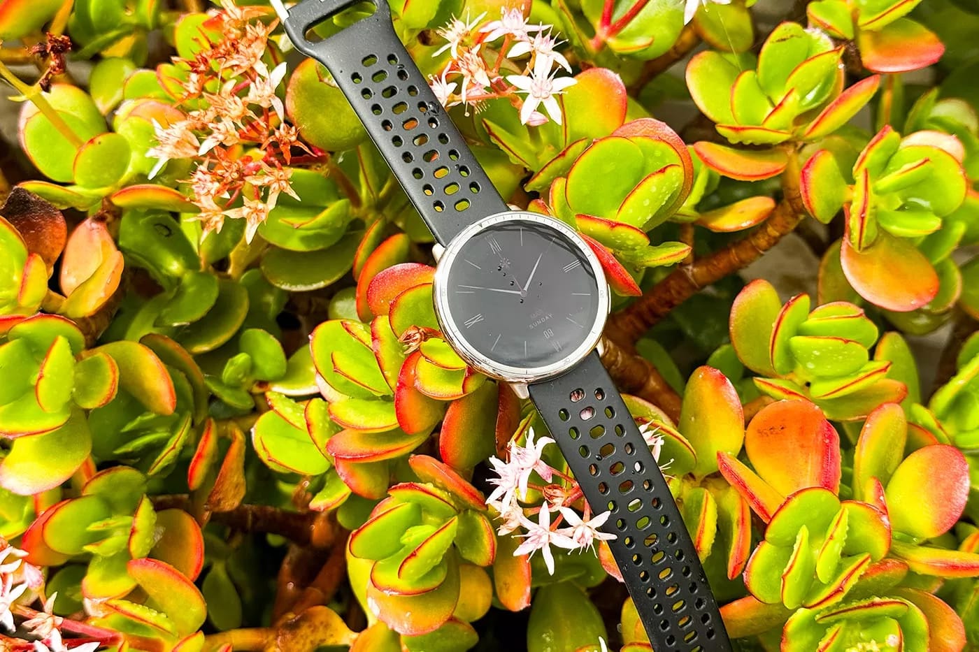 SMARTWATCH XIAOMI AMAXFIT ACTIVE 2